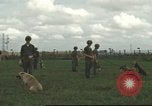 Standbild 377 Air Polizei Security Squadron Vietnam, 1966, aus Sekunde 4 historischem Filmmaterial Videoclip 65675061424