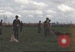 Standbild 377 Air Polizei Security Squadron Vietnam, 1966, aus Sekunde 8 historischem Filmmaterial Videoclip 65675061424