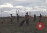 Standbild 377 Air Polizei Security Squadron Vietnam, 1966, aus Sekunde 11 historischem Filmmaterial Videoclip 65675061424