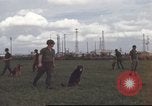 Standbild 377 Air Polizei Security Squadron Vietnam, 1966, aus Sekunde 14 historischem Filmmaterial Videoclip 65675061424