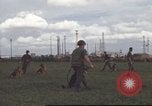 Standbild 377 Air Polizei Security Squadron Vietnam, 1966, aus Sekunde 15 historischem Filmmaterial Videoclip 65675061424