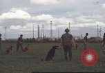 Standbild 377 Air Polizei Security Squadron Vietnam, 1966, aus Sekunde 16 historischem Filmmaterial Videoclip 65675061424