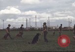 Standbild 377 Air Polizei Security Squadron Vietnam, 1966, aus Sekunde 17 historischem Filmmaterial Videoclip 65675061424