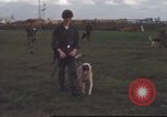 Standbild 377 Air Polizei Security Squadron Vietnam, 1966, aus Sekunde 19 historischem Filmmaterial Videoclip 65675061424
