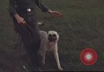 Standbild 377 Air Polizei Security Squadron Vietnam, 1966, aus Sekunde 21 historischem Filmmaterial Videoclip 65675061424
