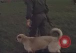 Standbild 377 Air Polizei Security Squadron Vietnam, 1966, aus Sekunde 22 historischem Filmmaterial Videoclip 65675061424