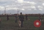 Standbild 377 Air Polizei Security Squadron Vietnam, 1966, aus Sekunde 26 historischem Filmmaterial Videoclip 65675061424