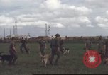 Standbild 377 Air Polizei Security Squadron Vietnam, 1966, aus Sekunde 27 historischem Filmmaterial Videoclip 65675061424