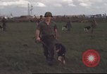 Standbild 377 Air Polizei Security Squadron Vietnam, 1966, aus Sekunde 32 historischem Filmmaterial Videoclip 65675061424