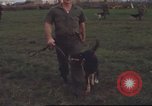 Standbild 377 Air Polizei Security Squadron Vietnam, 1966, aus Sekunde 33 historischem Filmmaterial Videoclip 65675061424