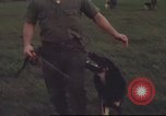 Standbild 377 Air Polizei Security Squadron Vietnam, 1966, aus Sekunde 34 historischem Filmmaterial Videoclip 65675061424