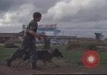 Standbild 377 Air Polizei Security Squadron Vietnam, 1966, aus Sekunde 44 historischem Filmmaterial Videoclip 65675061424