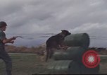Standbild 377 Air Polizei Security Squadron Vietnam, 1966, aus Sekunde 45 historischem Filmmaterial Videoclip 65675061424