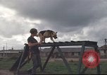 Standbild 377 Air Polizei Security Squadron Vietnam, 1966, aus Sekunde 48 historischem Filmmaterial Videoclip 65675061424