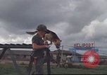 Standbild 377 Air Polizei Security Squadron Vietnam, 1966, aus Sekunde 50 historischem Filmmaterial Videoclip 65675061424