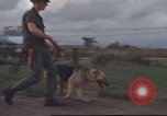 Standbild 377 Air Polizei Security Squadron Vietnam, 1966, aus Sekunde 51 historischem Filmmaterial Videoclip 65675061424