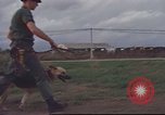 Standbild 377 Air Polizei Security Squadron Vietnam, 1966, aus Sekunde 52 historischem Filmmaterial Videoclip 65675061424