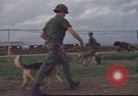 Standbild 377 Air Polizei Security Squadron Vietnam, 1966, aus Sekunde 53 historischem Filmmaterial Videoclip 65675061424
