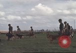 Standbild 377 Air Polizei Security Squadron Vietnam, 1966, aus Sekunde 57 historischem Filmmaterial Videoclip 65675061424