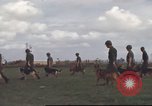 Standbild 377 Air Polizei Security Squadron Vietnam, 1966, aus Sekunde 58 historischem Filmmaterial Videoclip 65675061424