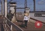 Standbild Militärpolizei Vietnam, 1966, aus Sekunde 48 historischem Filmmaterial Videoclip 65675061426