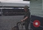 Standbild 377 Air Polizei Security Squadron Vietnam, 1966, aus Sekunde 10 historischem Filmmaterial Videoclip 65675061429