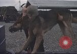 Standbild 377 Air Polizei Security Squadron Vietnam, 1966, aus Sekunde 23 historischem Filmmaterial Videoclip 65675061429
