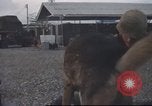 Standbild 377 Air Polizei Security Squadron Vietnam, 1966, aus Sekunde 25 historischem Filmmaterial Videoclip 65675061429