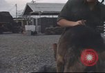 Standbild 377 Air Polizei Security Squadron Vietnam, 1966, aus Sekunde 26 historischem Filmmaterial Videoclip 65675061429