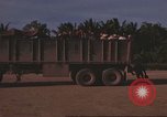 Image of 12th Air Police Security Squadron Vietnam, 1966, second 16 stock footage video 65675061434