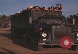 Image of 12th Air Police Security Squadron Vietnam, 1966, second 48 stock footage video 65675061434