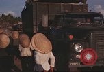 Image of 12th Air Police Security Squadron Vietnam, 1966, second 8 stock footage video 65675061435