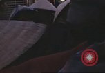 Image of 12th Air Police Security Squadron Vietnam, 1966, second 39 stock footage video 65675061435