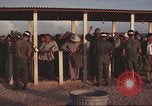 Image of 12th Air Police Security Squadron Vietnam, 1966, second 55 stock footage video 65675061437