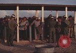 Image of 12th Air Police Security Squadron Vietnam, 1966, second 59 stock footage video 65675061437
