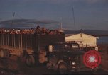 Standbild 12 Luft Polizei Security Squadron Vietnam, 1966, aus Sekunde 24 historischem Filmmaterial Videoclip 65675061438