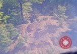 Image of Building pontoon bridge over Rhine United States USA, 1945, second 47 stock footage video 65675061446