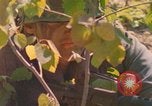 Image of Building pontoon bridge over Rhine United States USA, 1945, second 52 stock footage video 65675061446