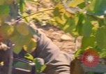 Image of Building pontoon bridge over Rhine United States USA, 1945, second 53 stock footage video 65675061446