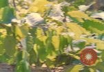 Image of Building pontoon bridge over Rhine United States USA, 1945, second 54 stock footage video 65675061446