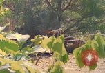 Image of Building pontoon bridge over Rhine United States USA, 1945, second 56 stock footage video 65675061446