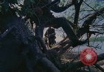 Image of Military Police United States USA, 1976, second 24 stock footage video 65675061449