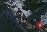Image of Military Police United States USA, 1976, second 25 stock footage video 65675061449