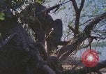 Image of Military Police United States USA, 1976, second 27 stock footage video 65675061449