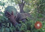 Image of Military Police United States USA, 1976, second 48 stock footage video 65675061449