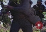 Image of Military Police United States USA, 1976, second 55 stock footage video 65675061449