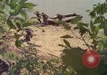 Image of Military Police United States USA, 1976, second 57 stock footage video 65675061449