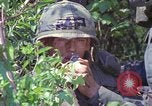 Image of Military Police United States USA, 1976, second 15 stock footage video 65675061453