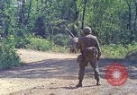 Image of Military Police United States USA, 1976, second 30 stock footage video 65675061453