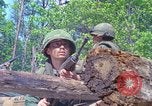 Image of Military Police United States USA, 1976, second 7 stock footage video 65675061454
